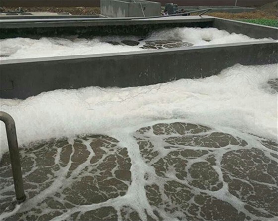 黑偉的污水處理鼓風機質(zhì)量可靠壽命長！