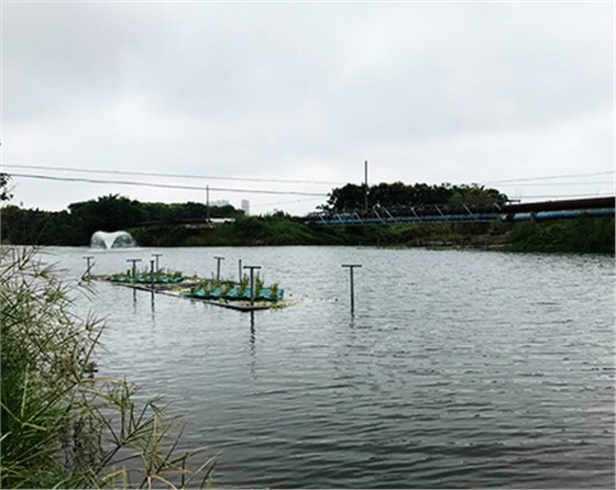 未標(biāo)題-黑偉黑偉沉水式風(fēng)機(jī)使用方便噪音?。? />
</p>
        </div>
        <!--分頁-->
        <div   class=