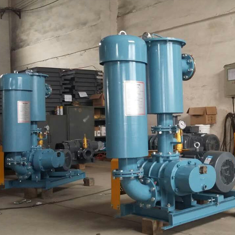 羅茨鼓風(fēng)機 750乘750 圖10 羅茨鼓風(fēng)機 750乘750 圖10