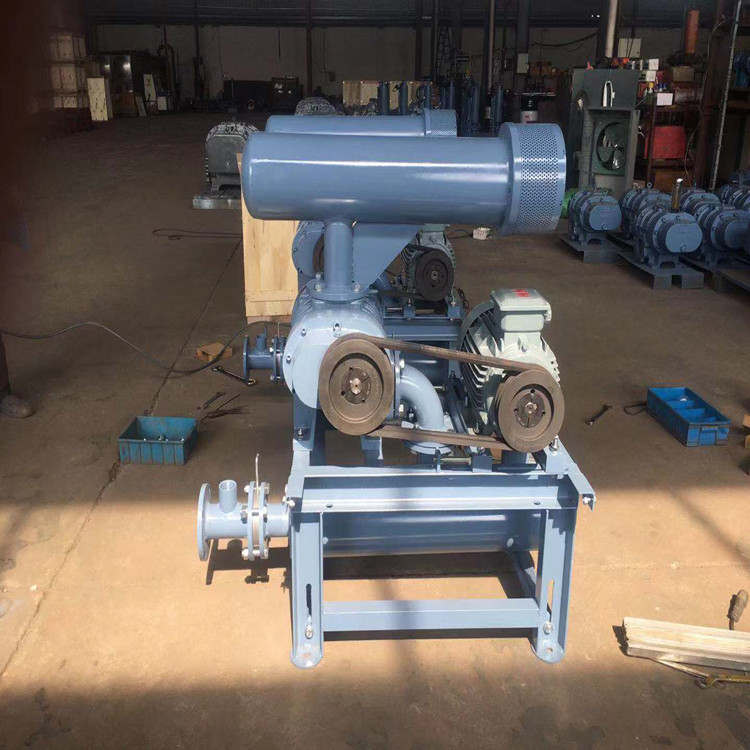 損壞羅茨鼓風機齒輪減速器的原因有哪些？