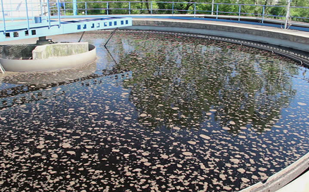 無懼污水之王！曝氣生物濾池如何清除骯臟污水？